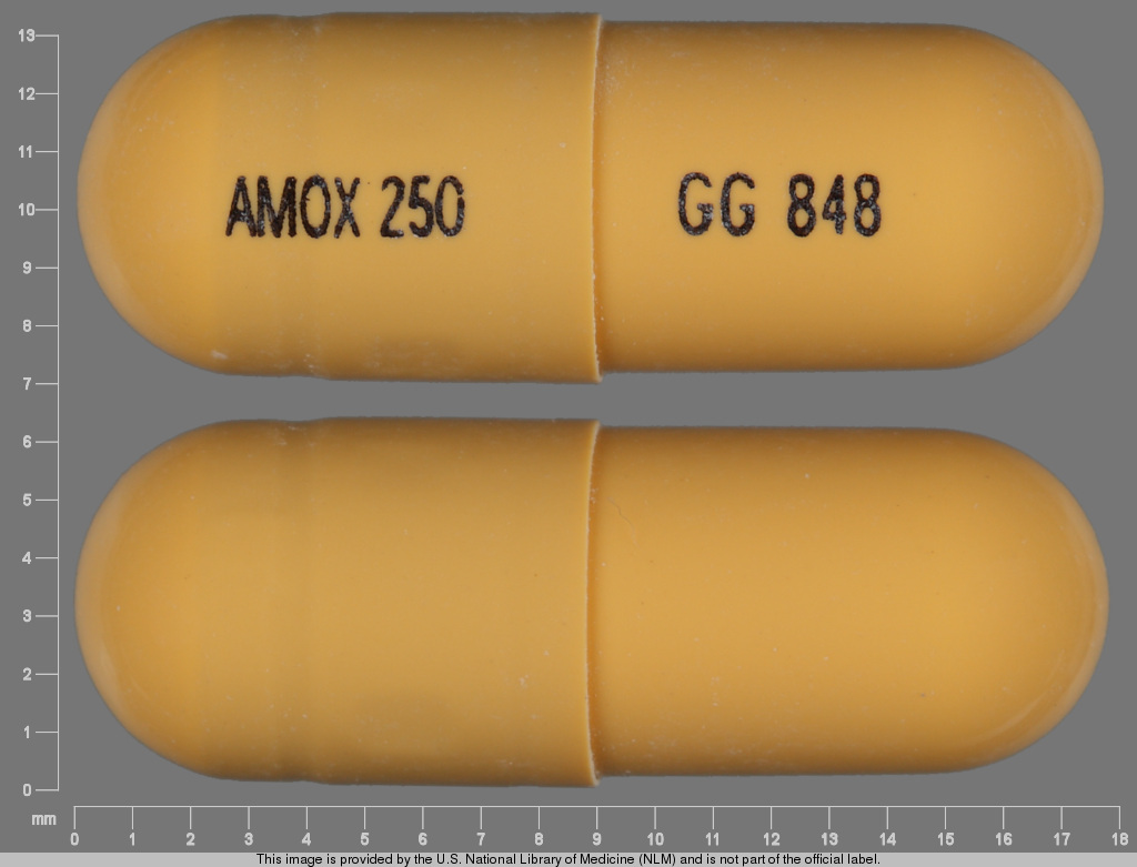 capsule yellow amox 250 gg 848 Images Amoxicillin amoxicillin NDC