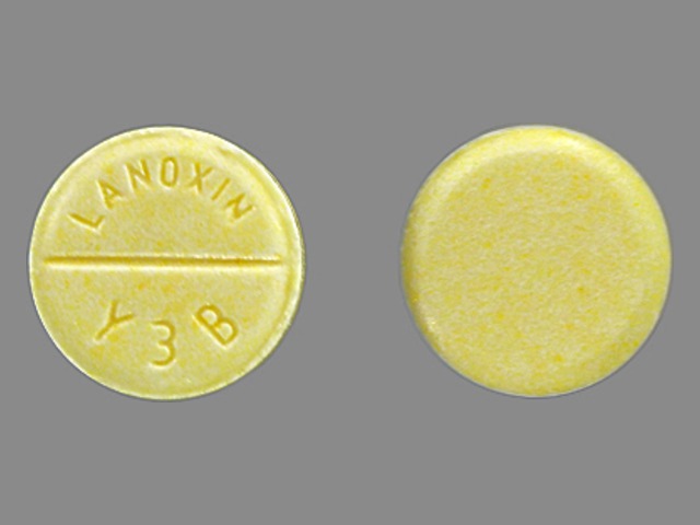 yellow round Pill with imprint lanoxin y3b tablet for treatment of with Adv...