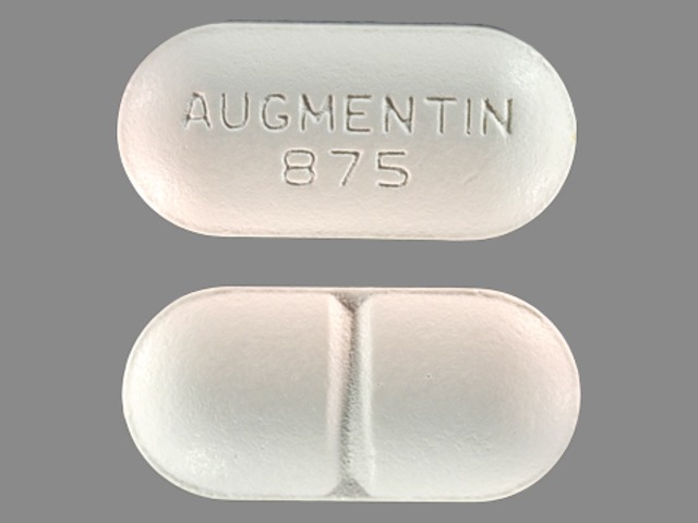 Oval White Augmentin 875 Images Amoxicillin And Clavulanate Potassium Amoxicillin And Clavulanate Potassium Ndc 727 076